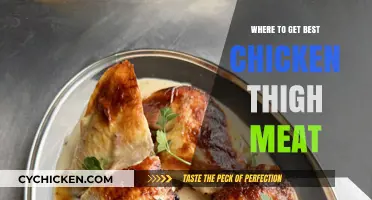 Top Spots to Find the Juiciest Chicken Thigh Meat