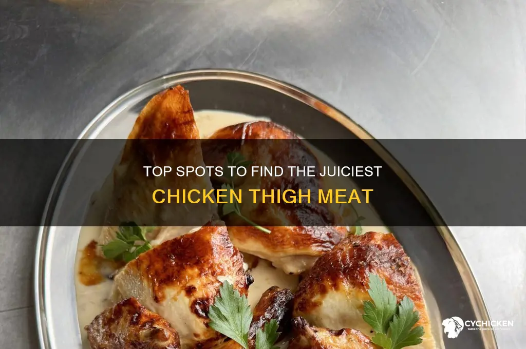 where to get best chicken thigh meat
