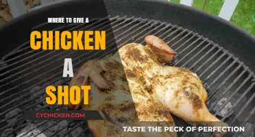 Administering Chicken Injections: Best Locations for Safe and Effective Shots