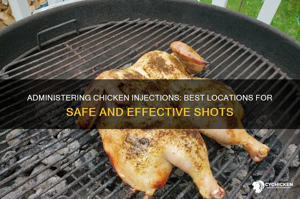 where to give a chicken a shot