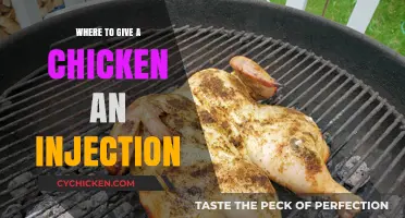 Proper Chicken Injection Sites: A Guide for Safe Administration