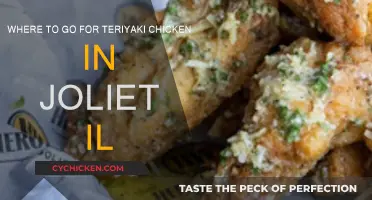Best Teriyaki Chicken in Joliet, IL: A Guide
