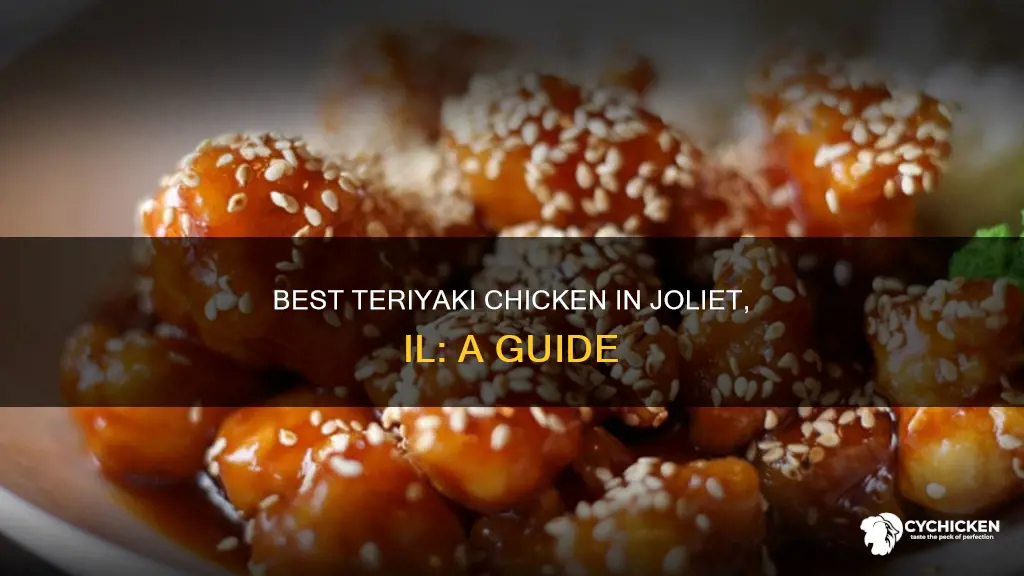 where to go for teriyaki chicken in joliet il