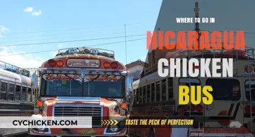 Exploring Nicaragua's Hidden Gems: A Chicken Bus Adventure Guide