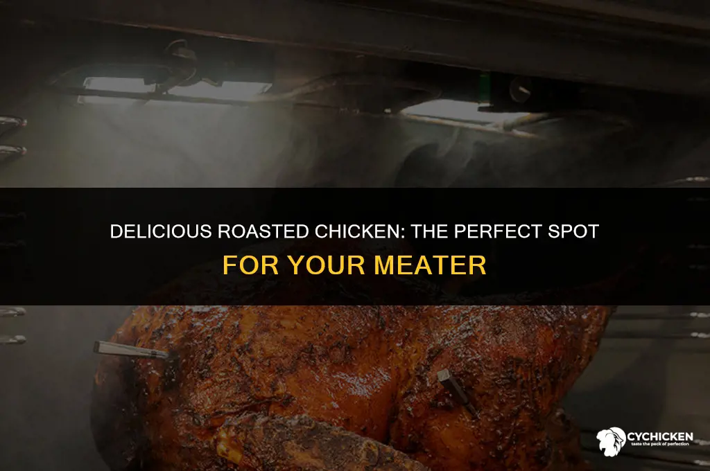 where to insert meater in whole chicken