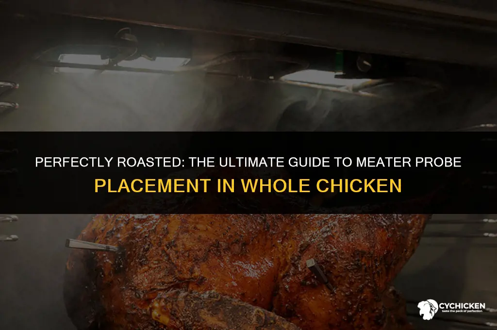 where to insert meater probe in whole chicken