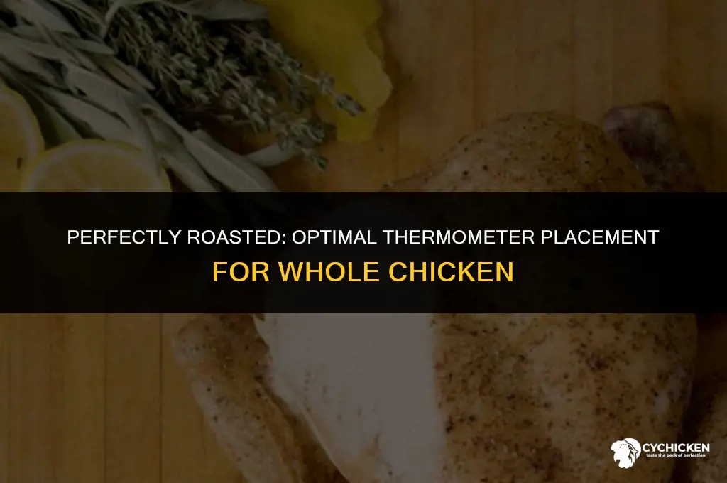 where to insert poultry button thermometer on a whole chicken
