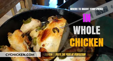 Perfectly Roasted: The Ultimate Guide to Temp Probe Placement in Whole Chicken