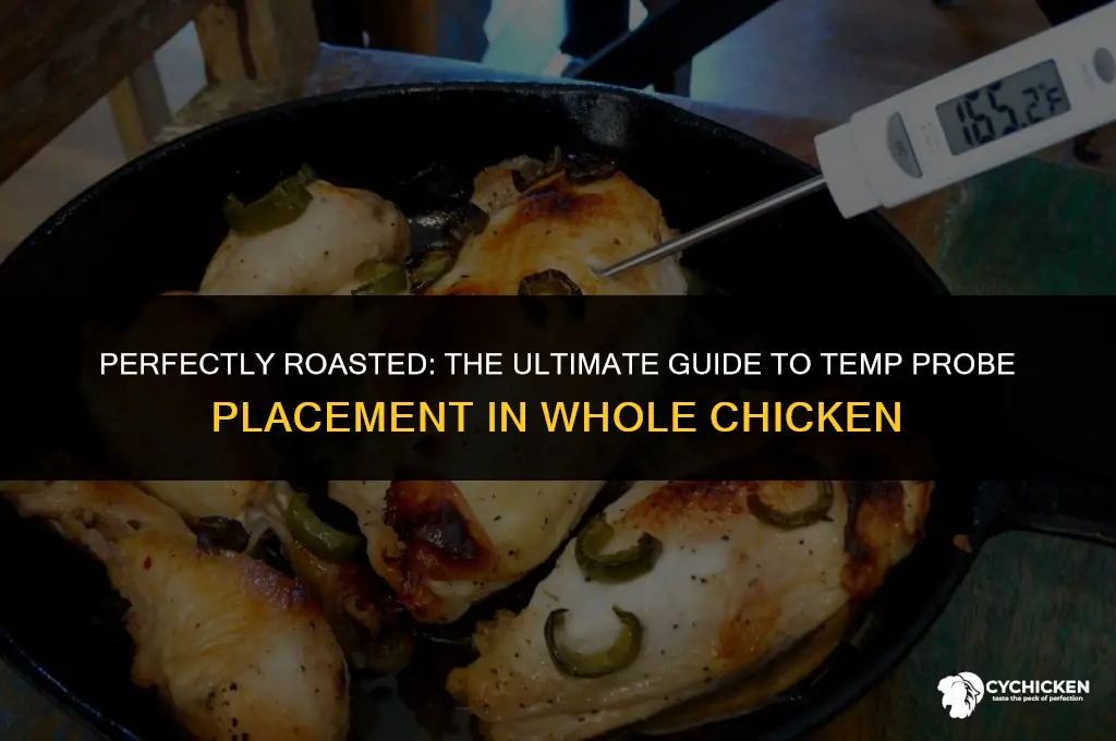 where to insert temp probe in whole chicken