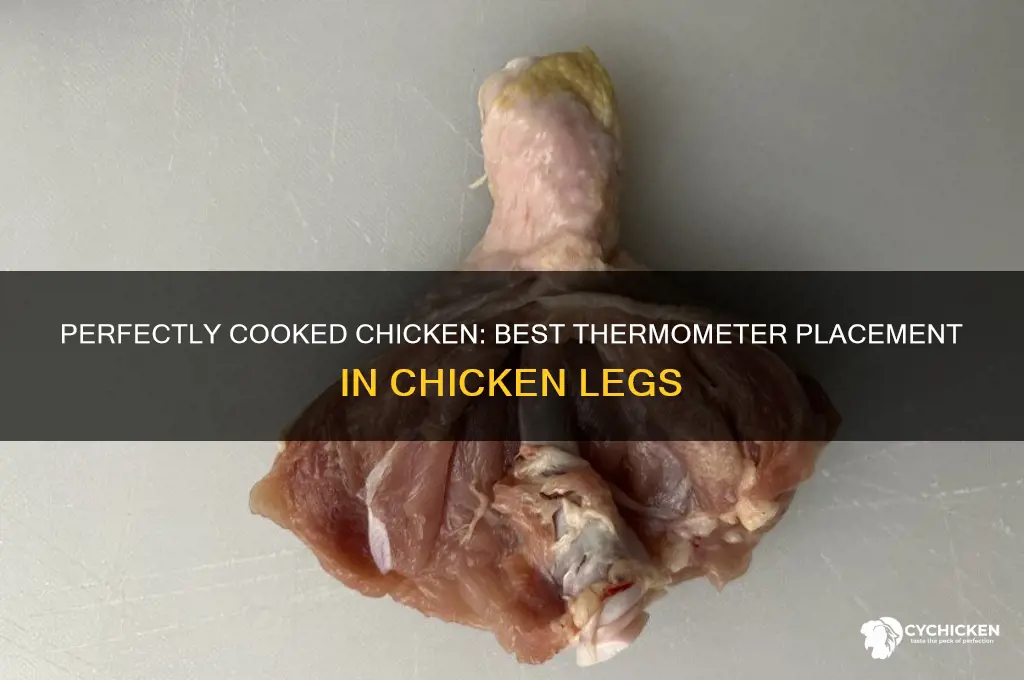 where to insert thermometer in chicken leg