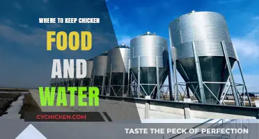 Best Practices for Storing Chicken Feed and Water Safely