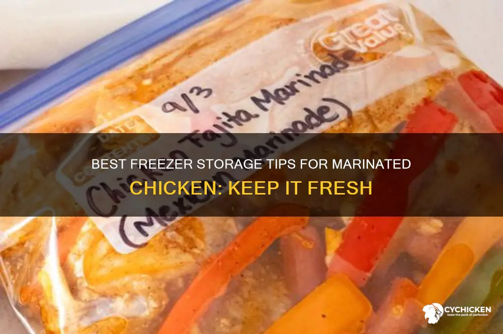 where to keep the marinated chicken freezer
