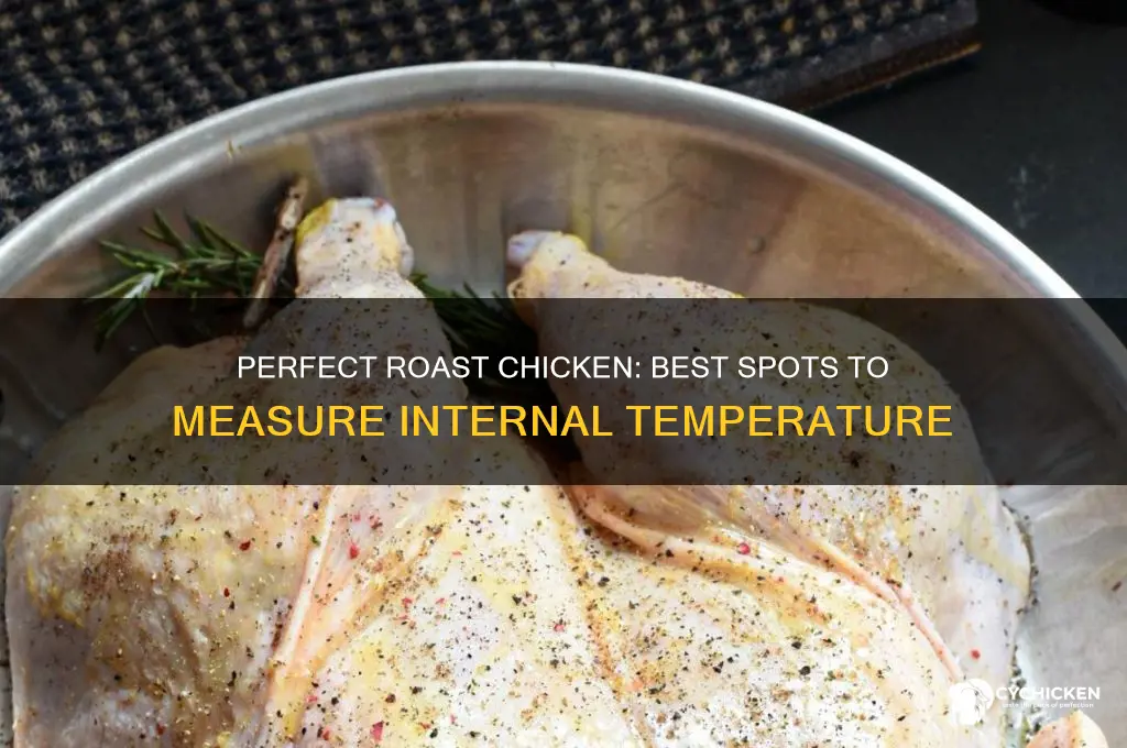 where to measure temp of roast chicken