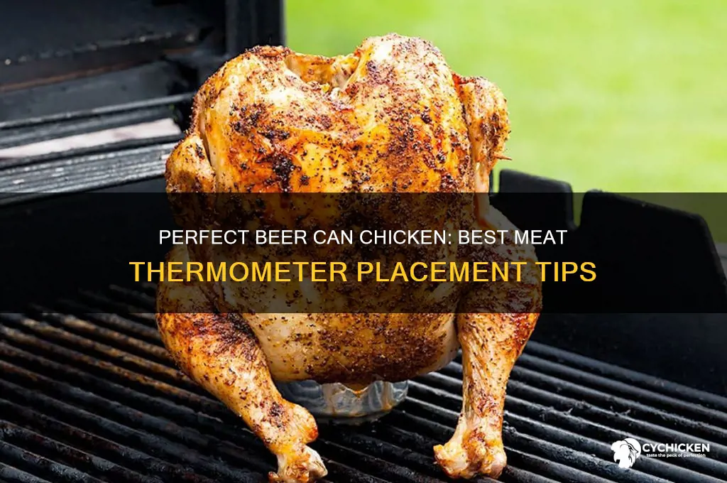 where to meat thermometer in beer chicken
