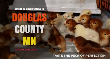 Best Places to Order Chicks in Douglas County, MN