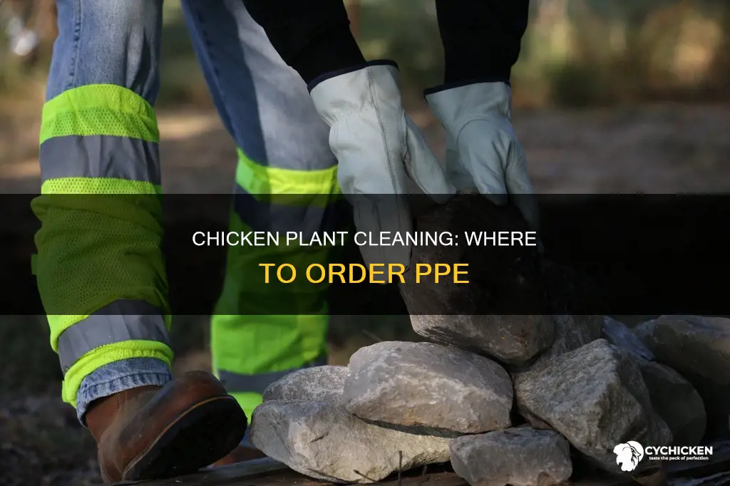 where to order ppe for cleaning chicken processing plants