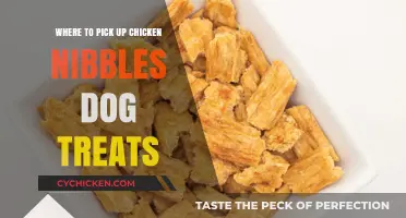 Best Spots to Find Chicken Nibbles Dog Treats for Your Pup