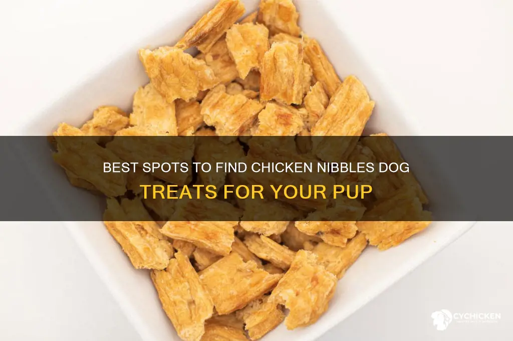 where to pick up chicken nibbles dog treats