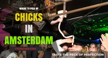 Best Spots to Meet Women in Amsterdam: A Local's Guide