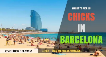 Best Spots to Meet Women in Barcelona: A Local's Guide