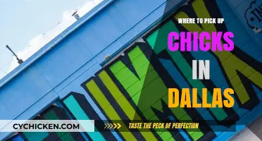 Top Spots to Meet Women in Dallas: A Local's Guide