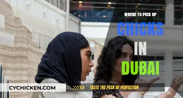 Best Spots to Meet Women in Dubai: A Social Guide