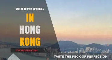 Top Spots to Meet Women in Hong Kong: A Guide