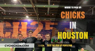 Houston's Top Spots to Meet New People and Socialize