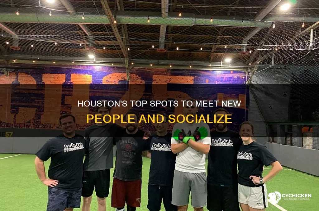 where to pick up chicks in houston