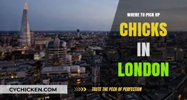Best Spots to Meet Women in London: A Social Guide