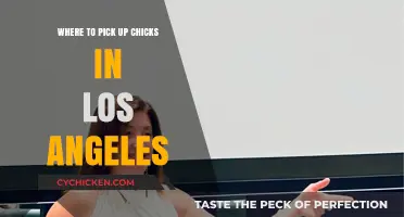 Top Spots to Meet Women in Los Angeles: A Guide