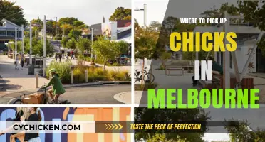Melbourne's Top Spots to Meet New People and Socialize