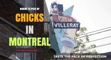 Best Spots to Meet Women in Montreal: A Local's Guide