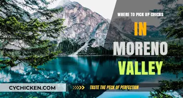 Best Spots to Meet Women in Moreno Valley: A Local's Guide
