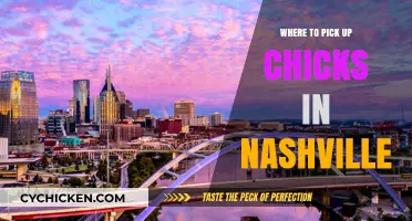 Nashville's Best Spots to Meet New People and Socialize