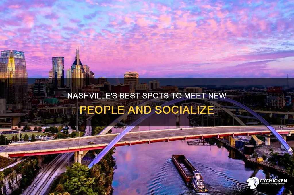 where to pick up chicks in nashville