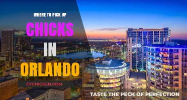 Orlando's Best Spots to Meet New People and Socialize