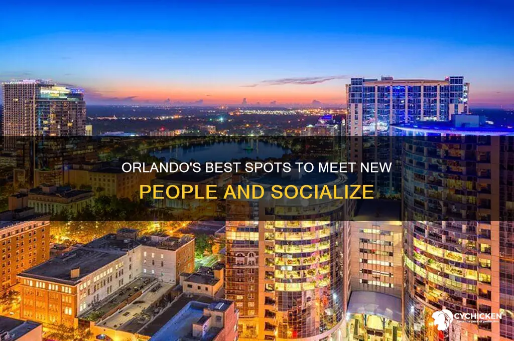 where to pick up chicks in orlando