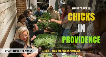 Best Spots to Meet Women in Providence: A Local's Guide