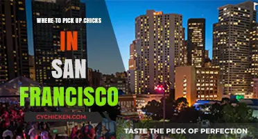 Best Spots to Meet Women in San Francisco: A Local's Guide