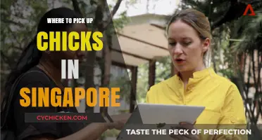 Best Spots to Meet Women in Singapore: A Social Guide