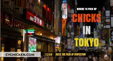 Best Spots to Meet Women in Tokyo: A Local's Guide