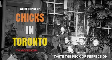 Best Spots to Meet Women in Toronto: A Local's Guide