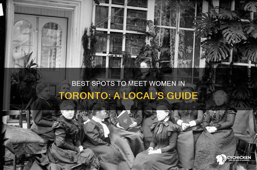 where to pick up chicks in toronto