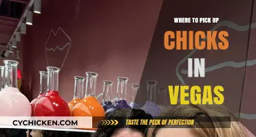 Vegas Hotspots: Best Places to Meet Women in Sin City