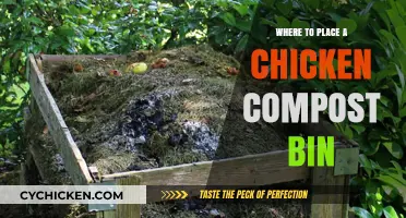 Optimal Placement Tips for Your Chicken Compost Bin at Home