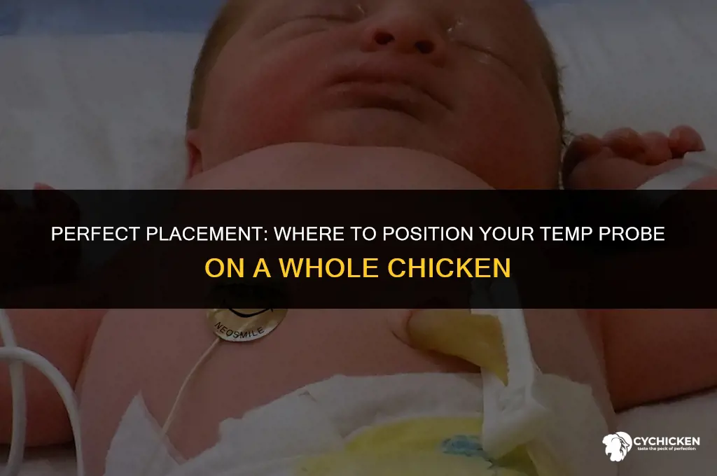 where to place temp rob on whole chicken