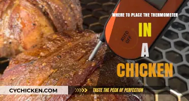 Proper Thermometer Placement for Accurate Chicken Cooking Temperature Readings