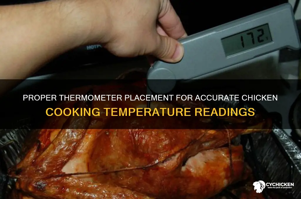where to place the thermometer in a chicken