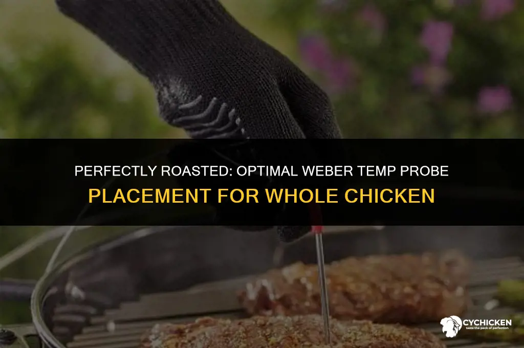 where to place weber temp probe in whole chicken